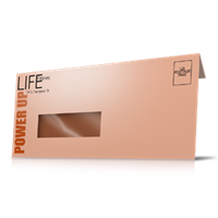 Envelopes - Window 4 Color Envelopes - Window 4 Color